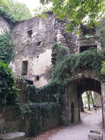 Le Moulin De Gueuzon Daire Rochefort-en-Terre Dış mekan fotoğraf